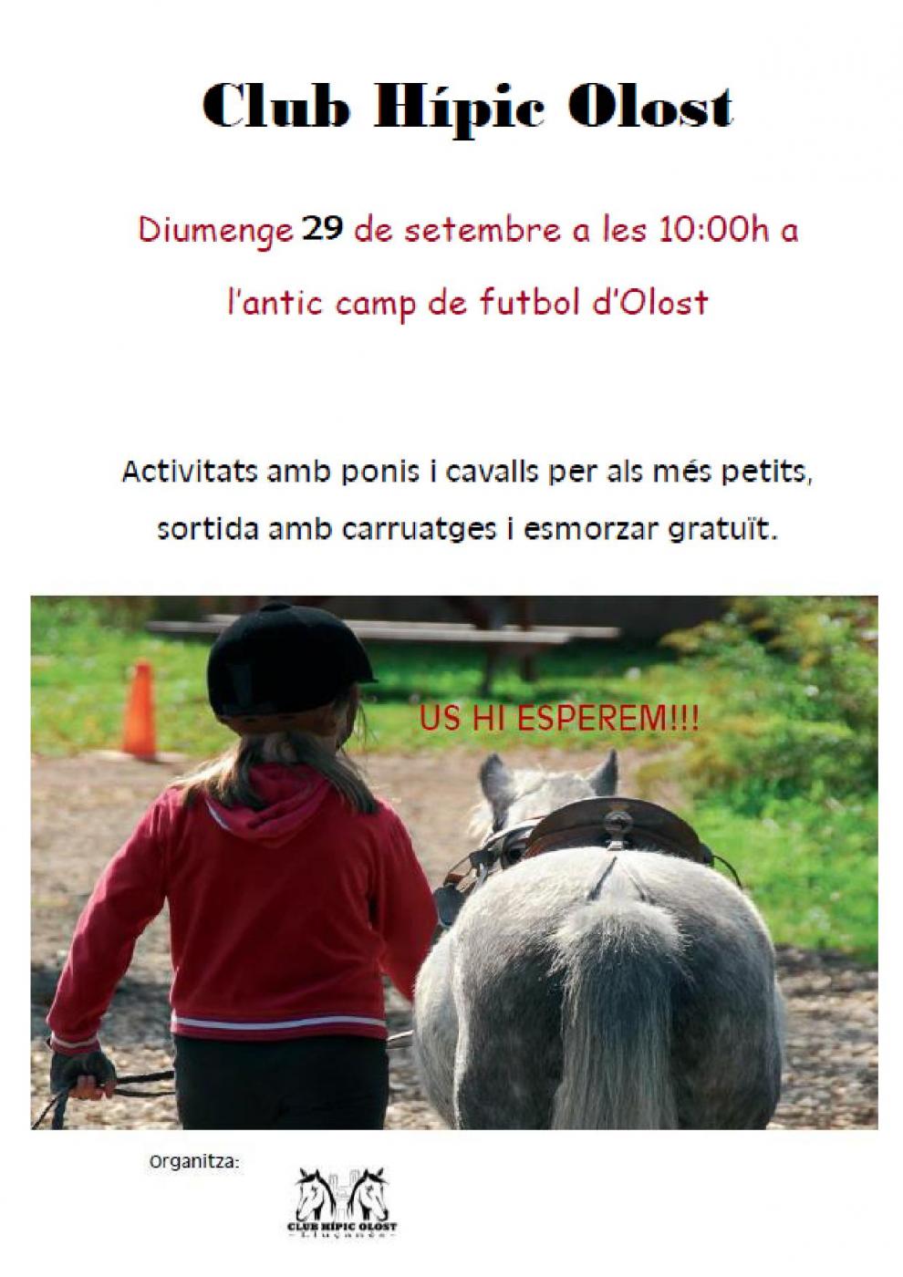 Activitats amb ponis i cavalls i sortida amb carruatges